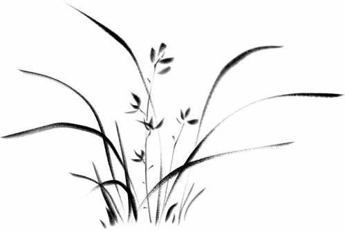 藝術(shù)設(shè)計專業(yè)︱2021 藝能量 美在二職時尚周藝術(shù)類專業(yè)教學(xué)成果展