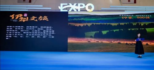 秋冬勝境 魅力伊犁 2024伊犁文旅推介活動(dòng)精彩亮相第六屆大運(yùn)河文化旅游博覽會