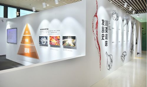 豪吉在成都博物館開展,用科技引領(lǐng)川菜向前