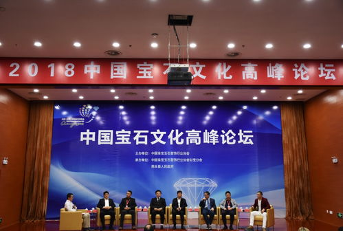 皇后派珠寶設(shè)計總監(jiān)王旭先生出席2018中國寶石文化高峰論壇