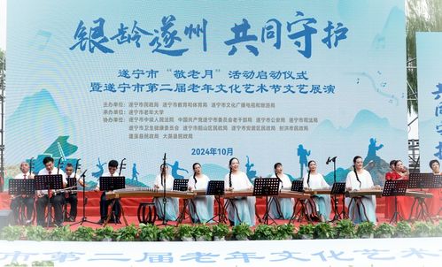 銀齡遂州 共同守護(hù) 遂寧市 敬老月 活動(dòng)啟動(dòng)暨第二屆老年文化藝術(shù)節(jié)文藝展演成功舉行